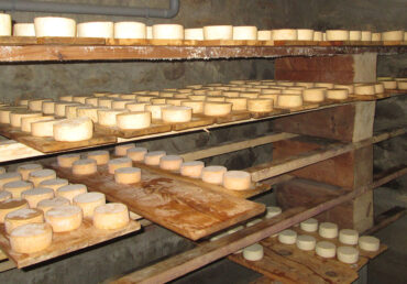 Fabrication de fromage