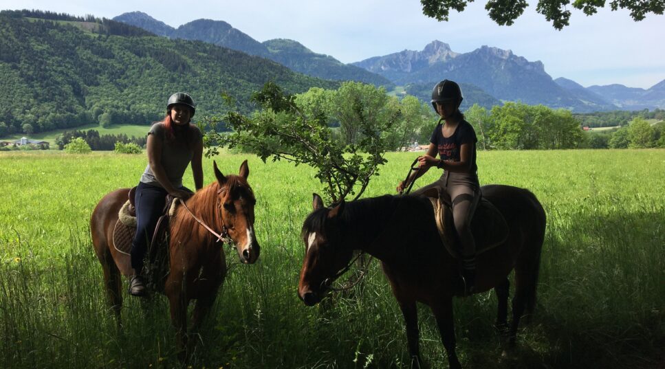 poney cheval pays d'Evian vallée d'Abondance
